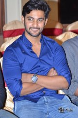 Shamanthakamani Movie Successmeet